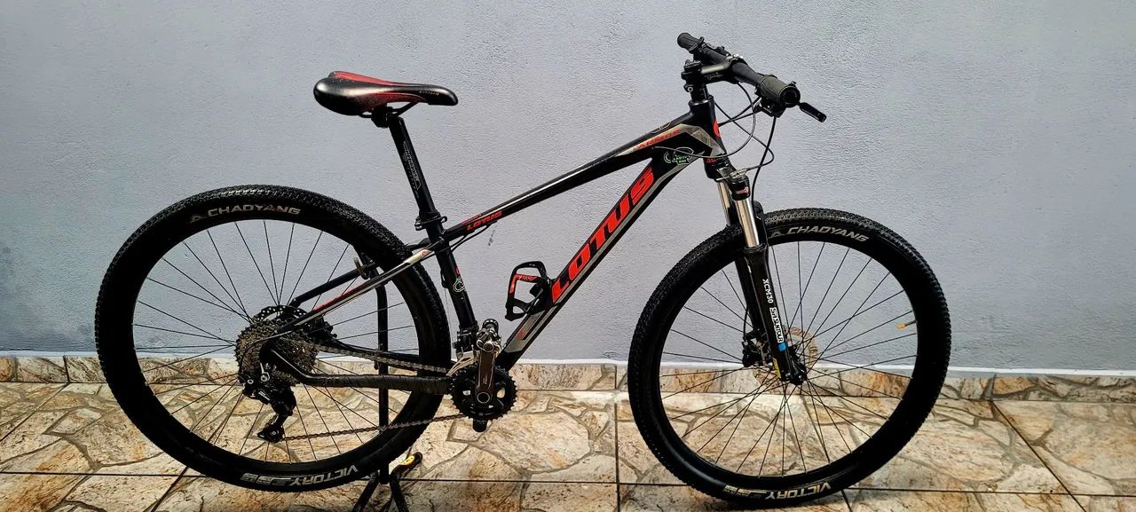 Bike Aro 29 top 