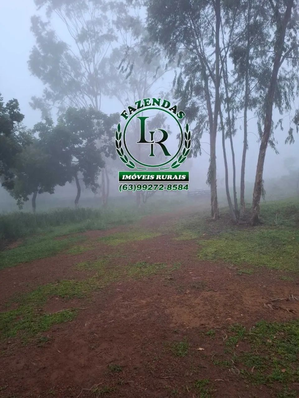 Fazenda 33 Alqueires Dupla Aptidão. - Foto 3