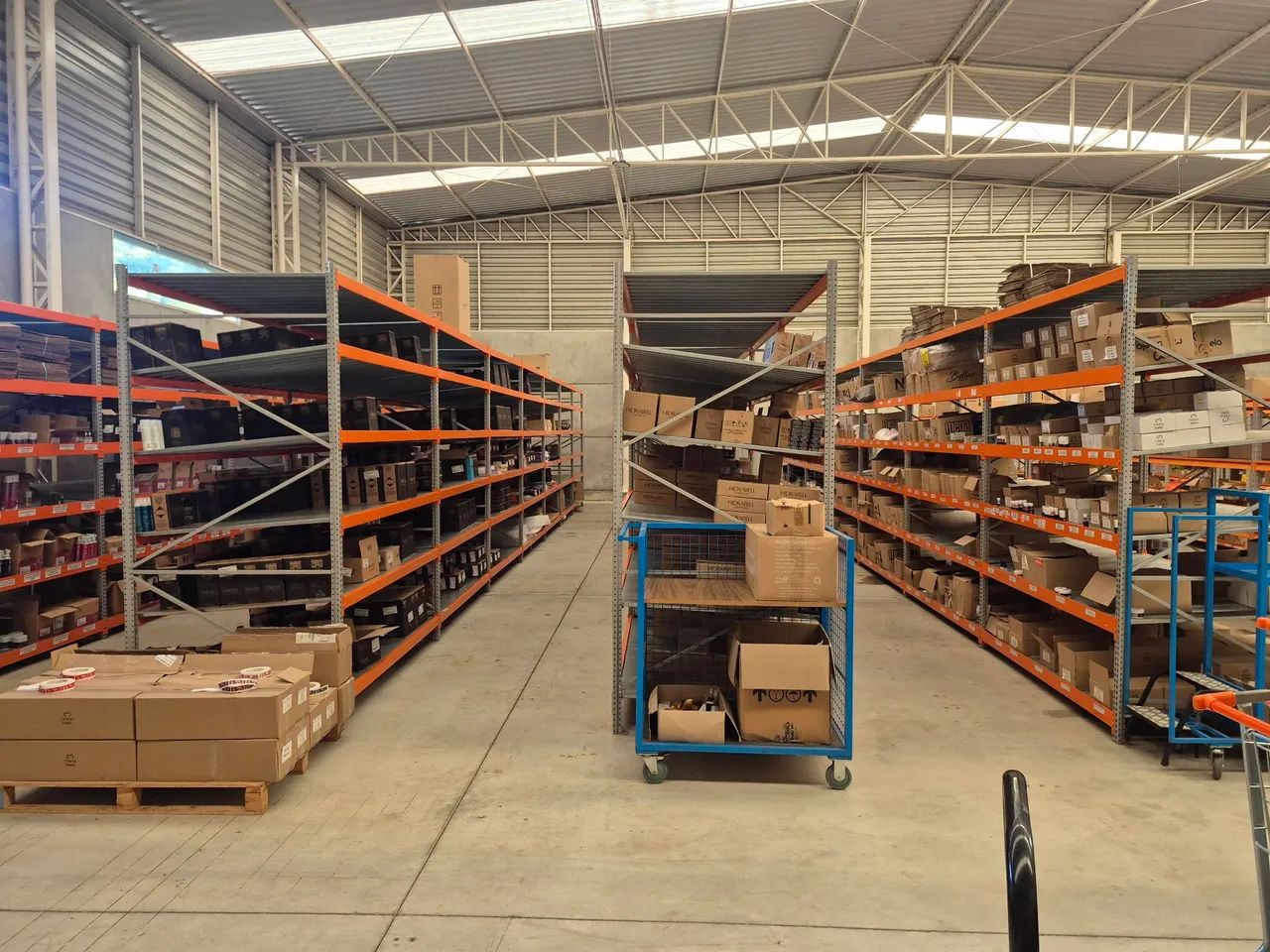 Porta Pallet64840791719939120