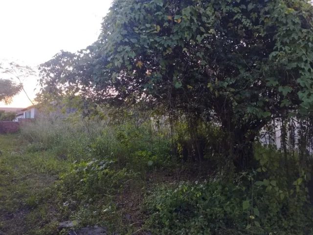 Terreno à Venda - Excelente Localização no Centro de Esperantina (PI) - Foto 3