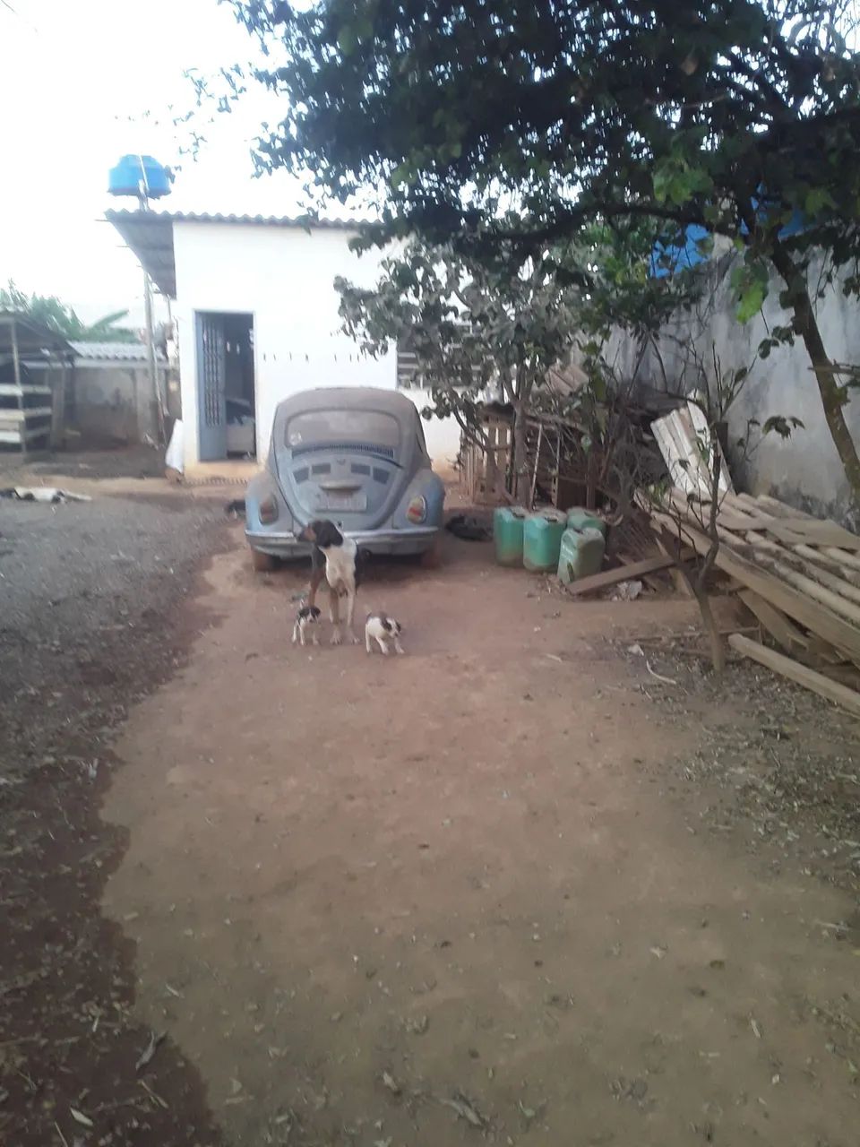 Foto - Brasília - Park Way