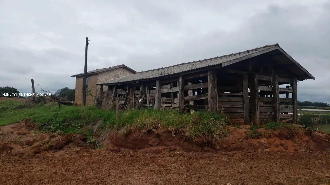 Área Rural para Venda em Faxinal - Foto 4