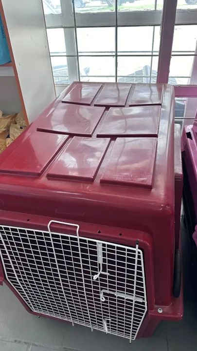 Casinha para transporte pet - Foto 2