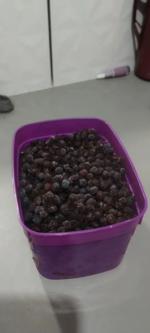 Vendo iça limpo 1 litro 