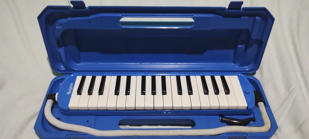 Escaleta Dolphin com case