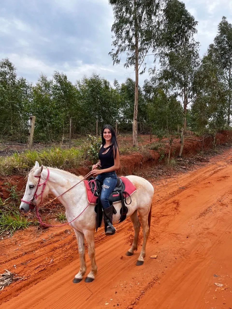 Égua mangalarga branca  - Foto 5