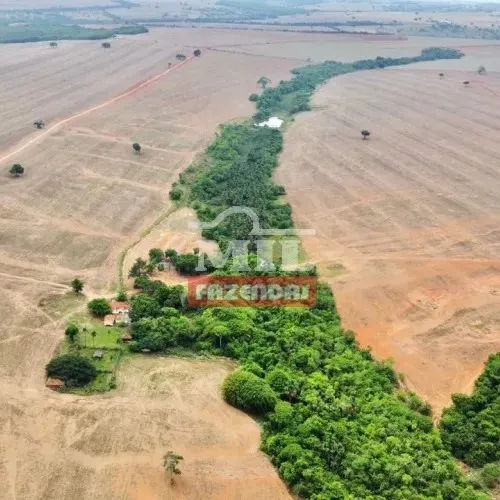 Fazenda 115,08 Alqueires (557 Hectares) Cristalina - GO