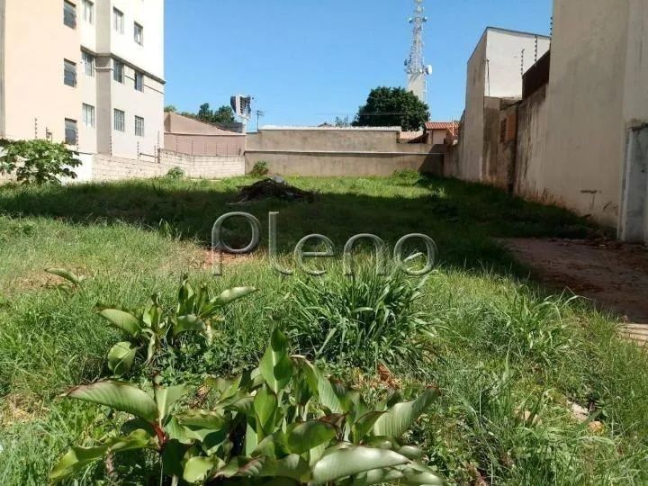 Terreno à venda em Campinas, Bonfim, com 740 m² - Foto 5