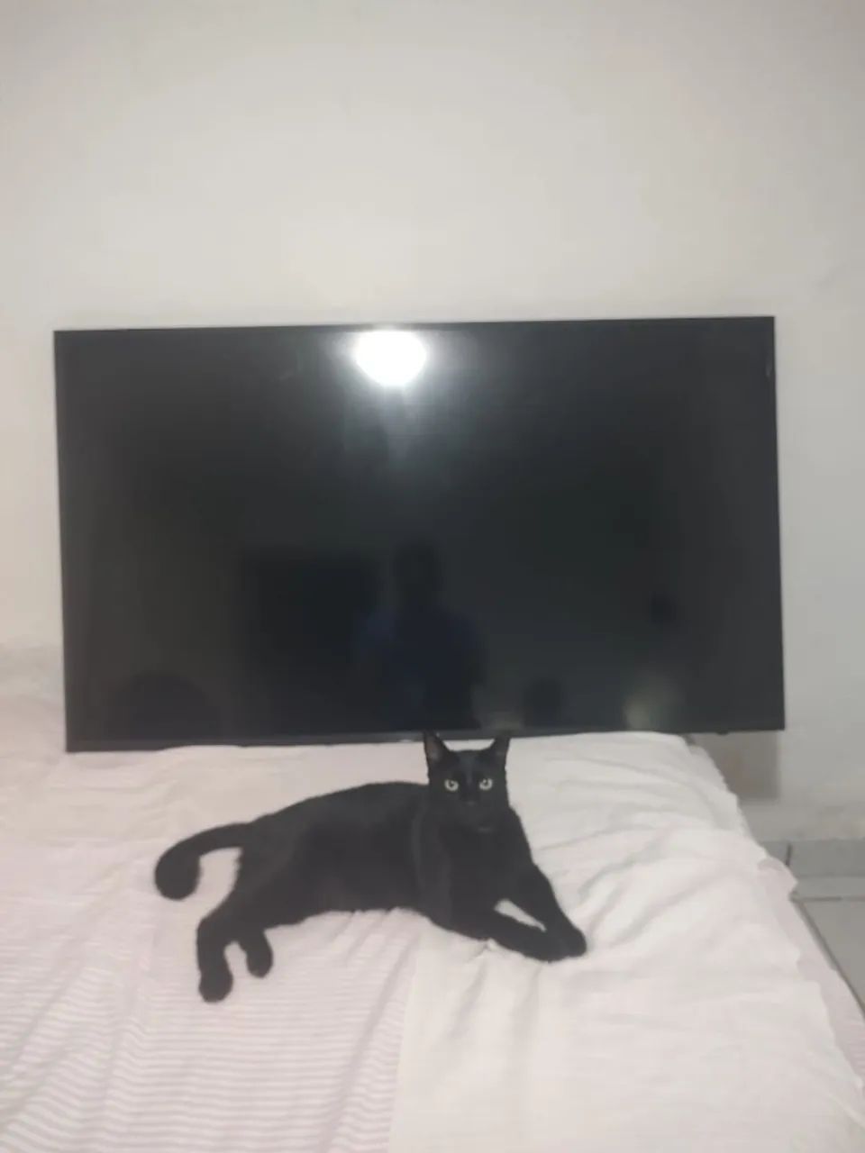 Televisão Sansung 58 polegadas