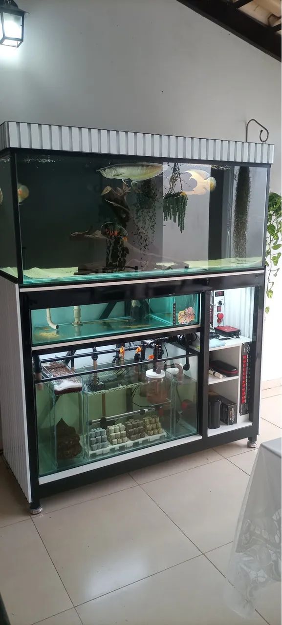 Aquário completo automático  - Foto 2
