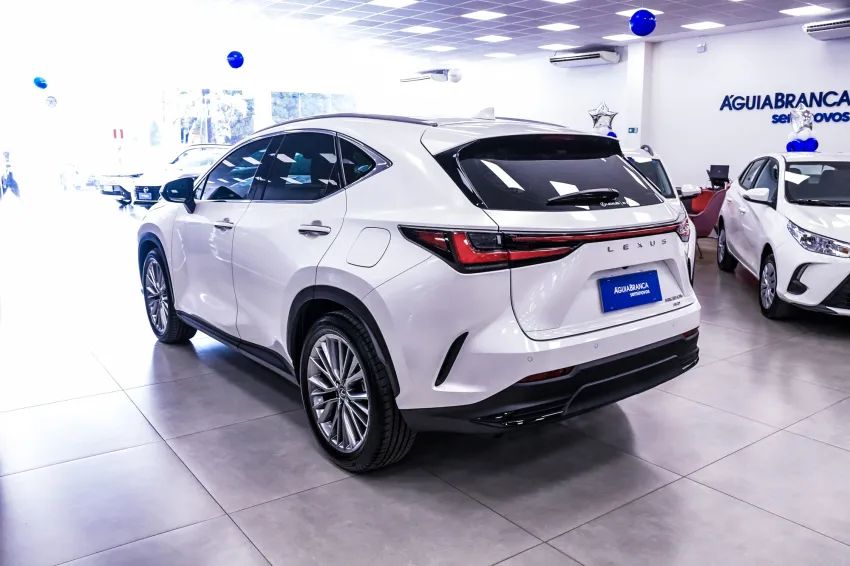 Lexus NX-350h Luxury 2.5 16V Aut. (hybrid), foto 7 de 19
