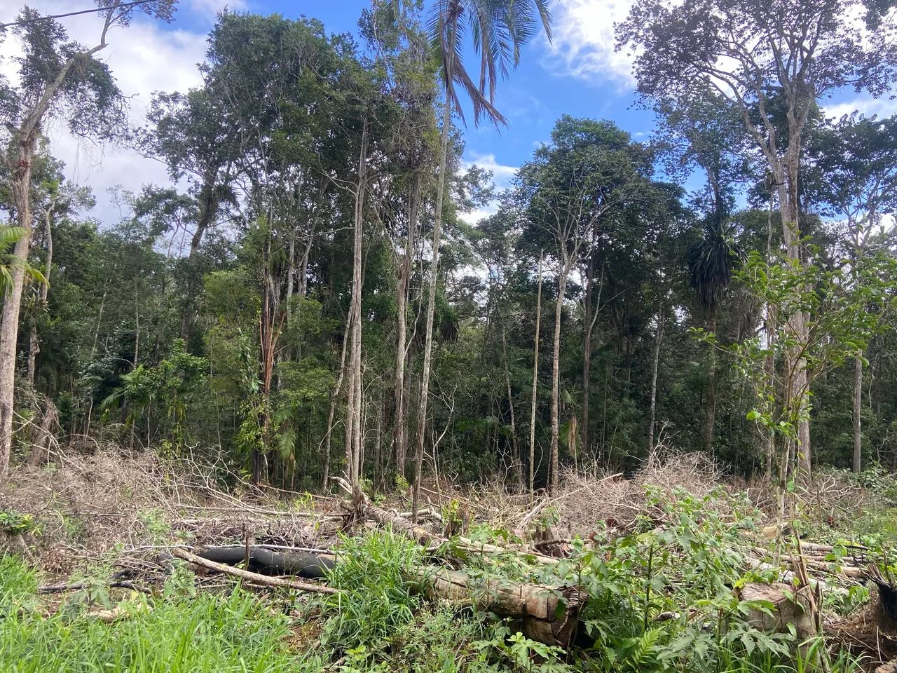 Terrenos 8x20 Itacaré (Próximo das praias) - Foto 3