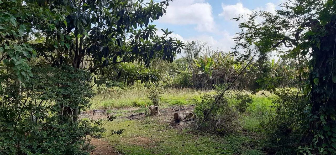 Loteamento com 0 dorm, Chave, Votorantim - R$ 550 mil, Cod: 5708 - Foto 2