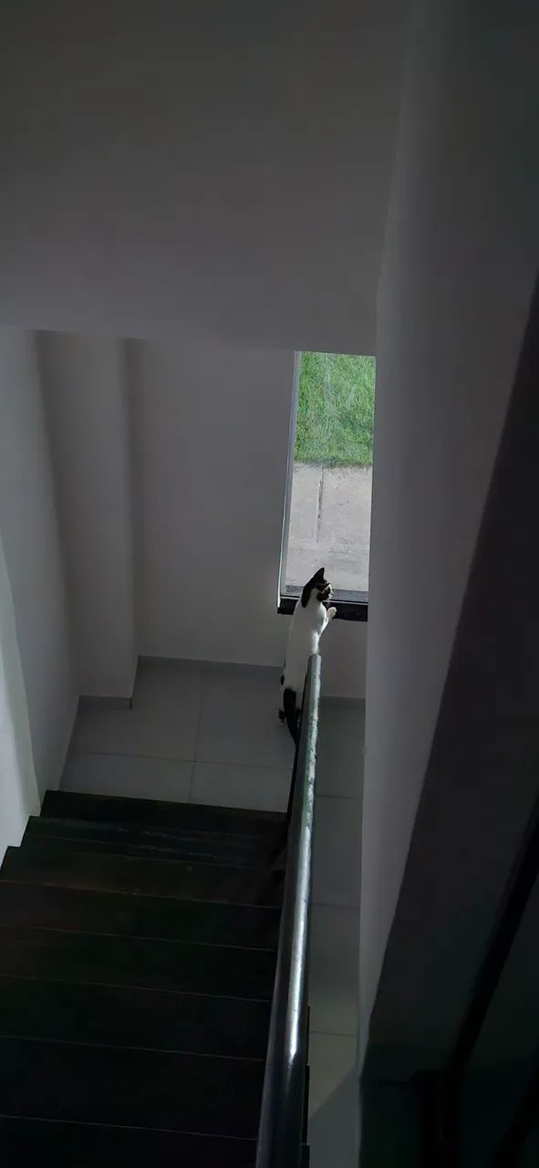Adoção de pet - Foto 5