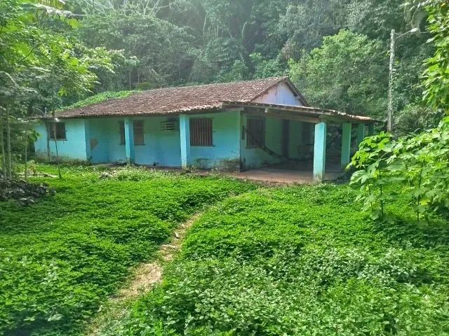 Galpão e casa em sítio para alugar - Foto 4