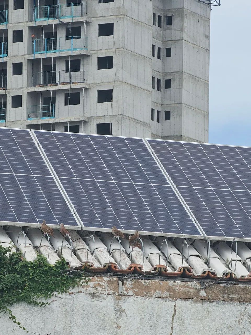 Acumulo de energia solar