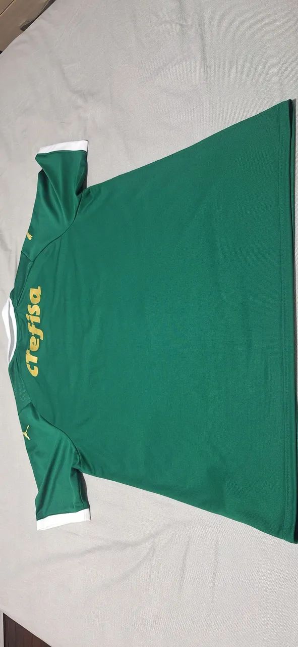 Camisa palmeiras verde 2024 EGG - Foto 4