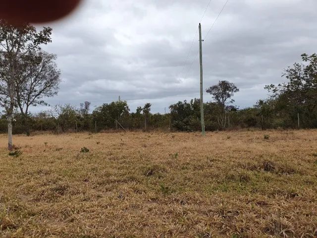 Chácara próximo 3 marias - Foto 4