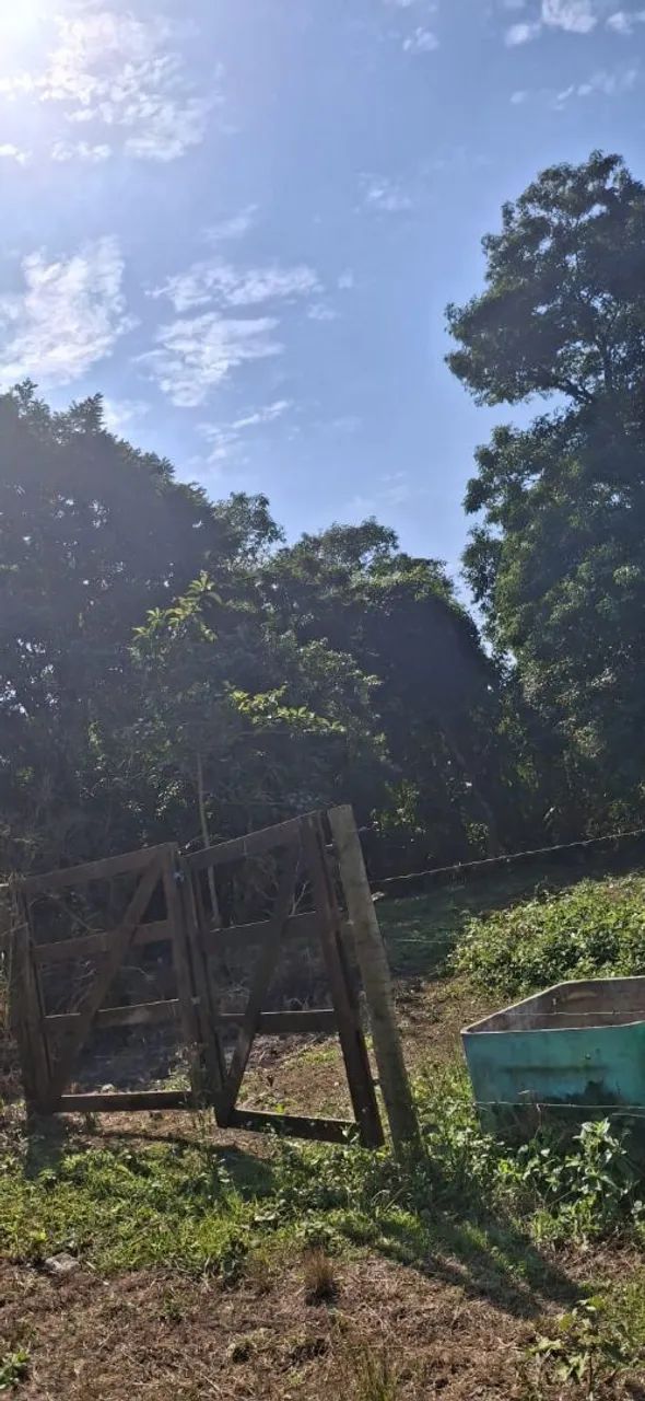 Terreno em Adrianópolis/Jardim Cachoeira 