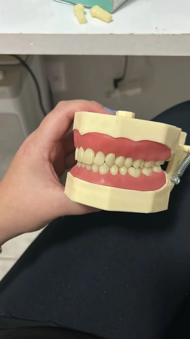 Vendo manequim de dentistica orais!