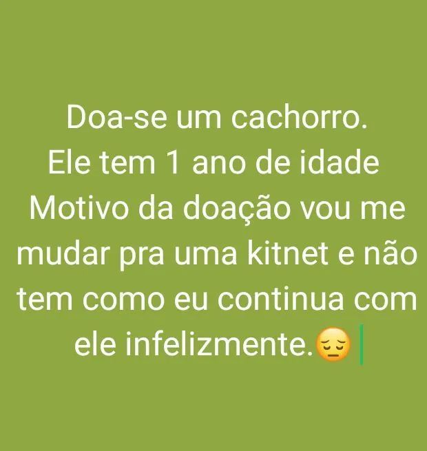 Doa-se um cachorro.