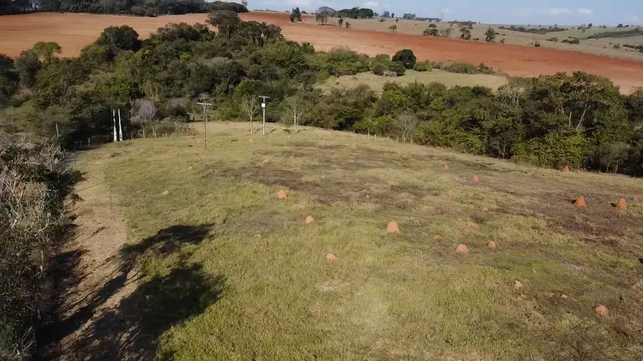 CHÁCARA COM ÁREA DE 17.500 M², COM CASA, POÇO, RIBEIRÃO - Foto 4