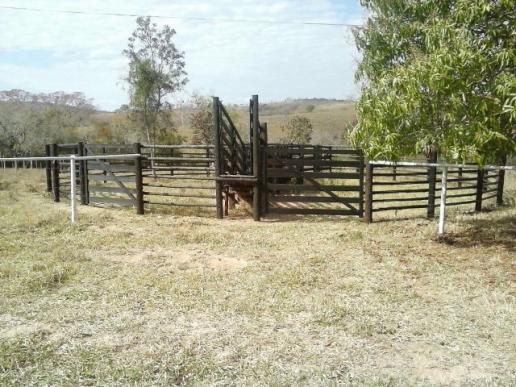 Excelente fazenda em Presidente Olegário/MG- oportunidade - Foto 8