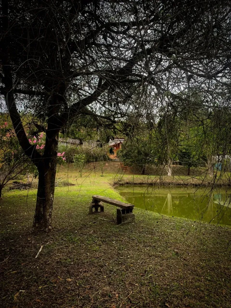 LINDO SÍTIO COM LAGO E RIACHO - Foto 3