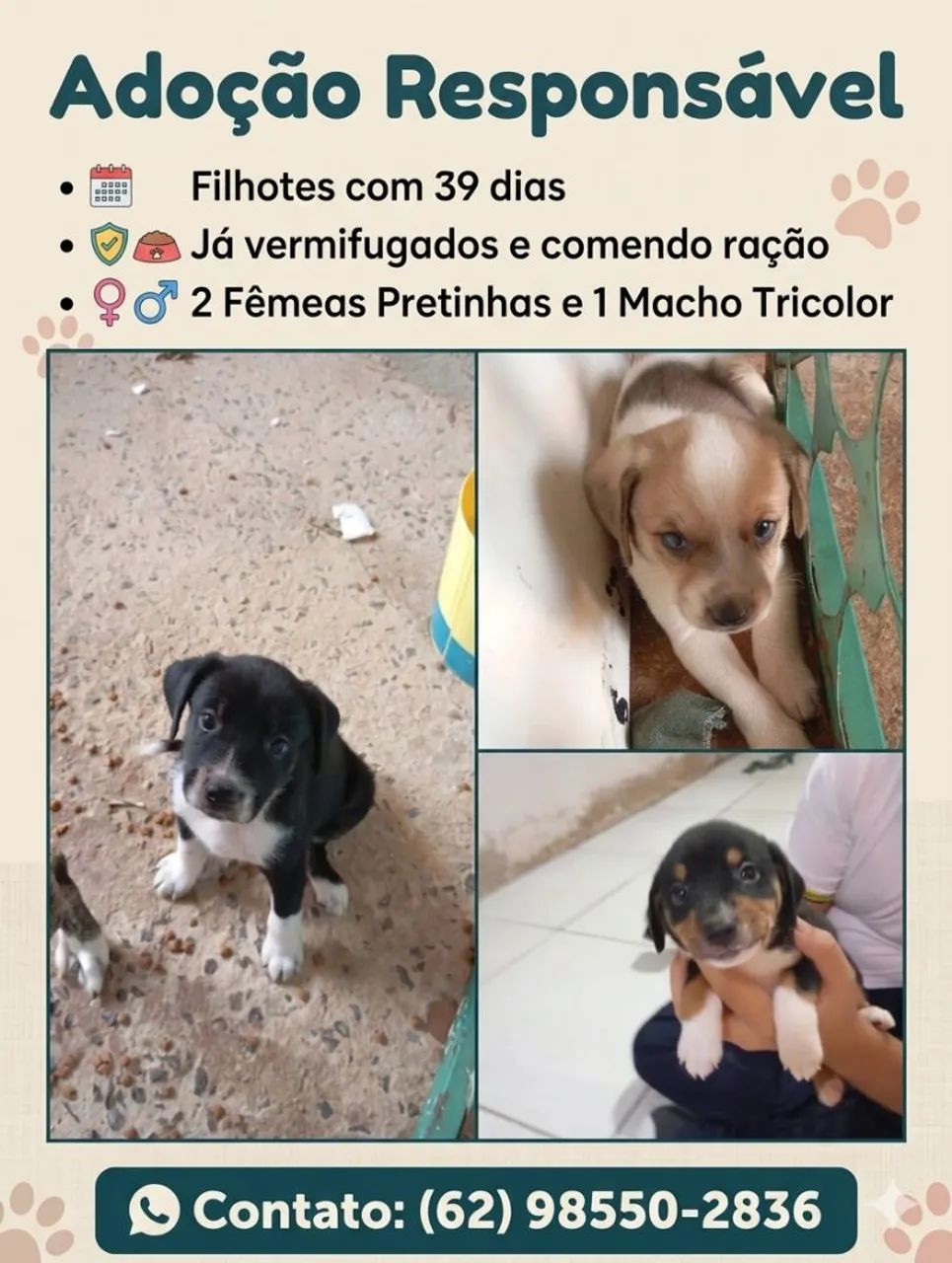 Doação responsável 