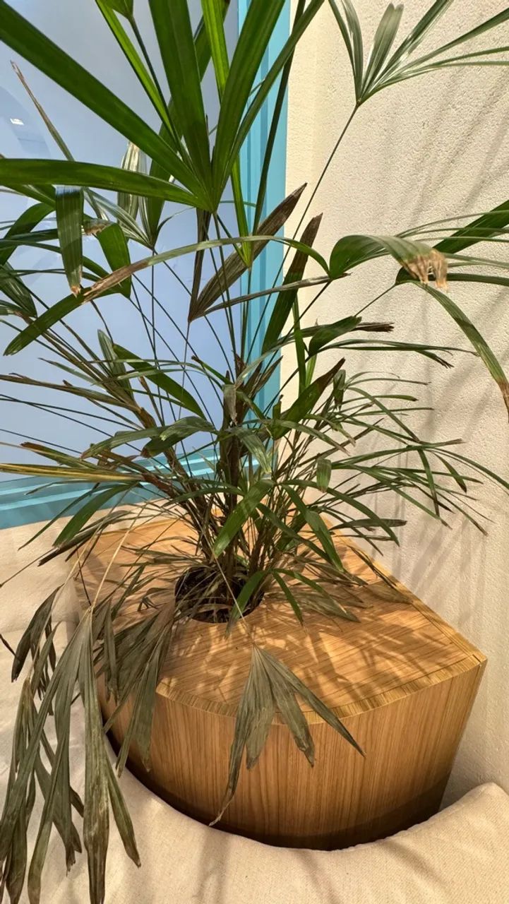 Móvel decorativo + sofá puf  - Foto 3