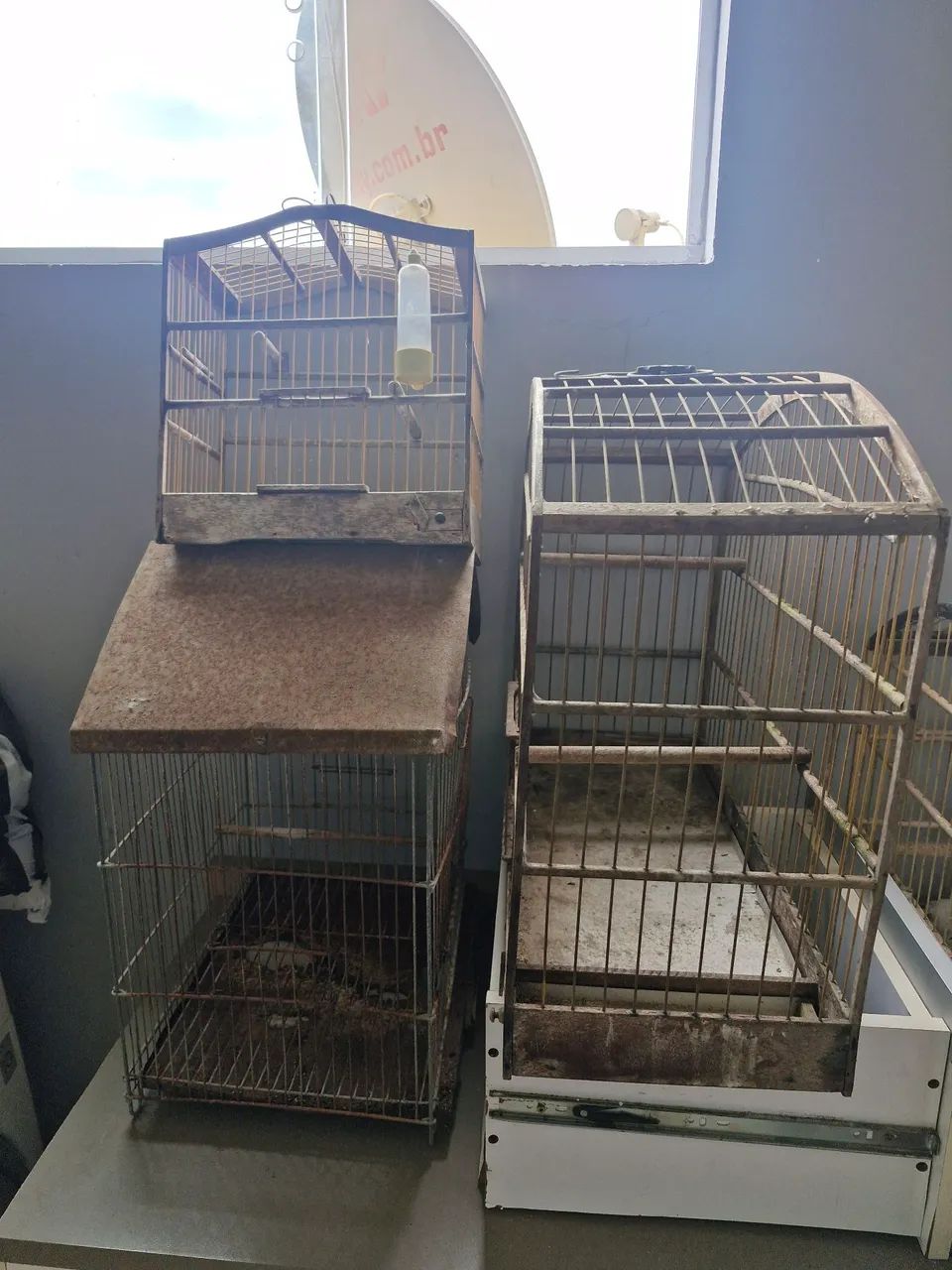 3 gaiolas por R$250,00