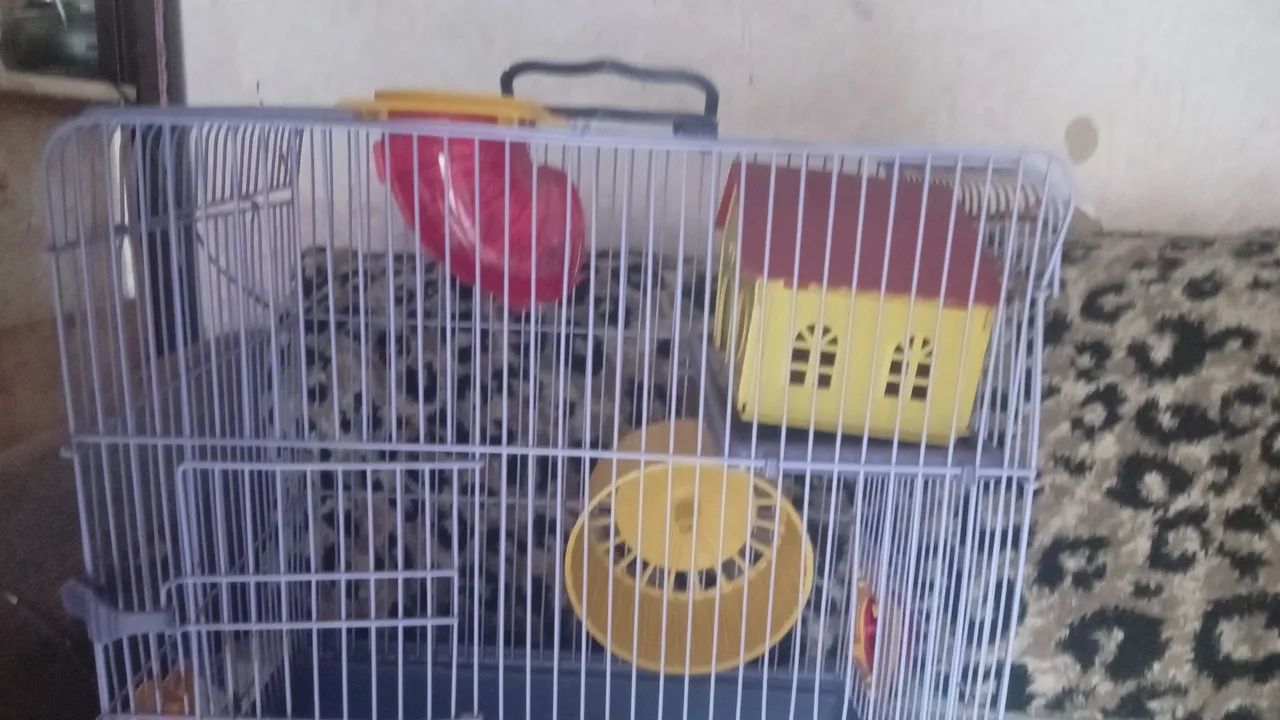 Gaiola adaptada pra Ramsters  - Foto 2