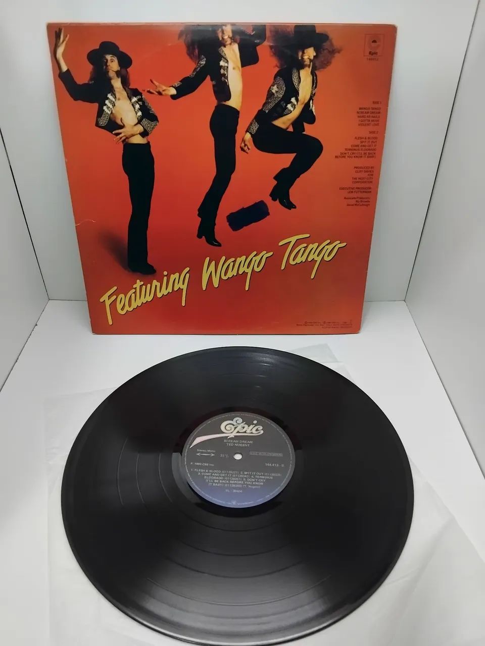 LP Disco de Vinil Ted Nugent Scream Dream - CDs, DVDs etc - Santa