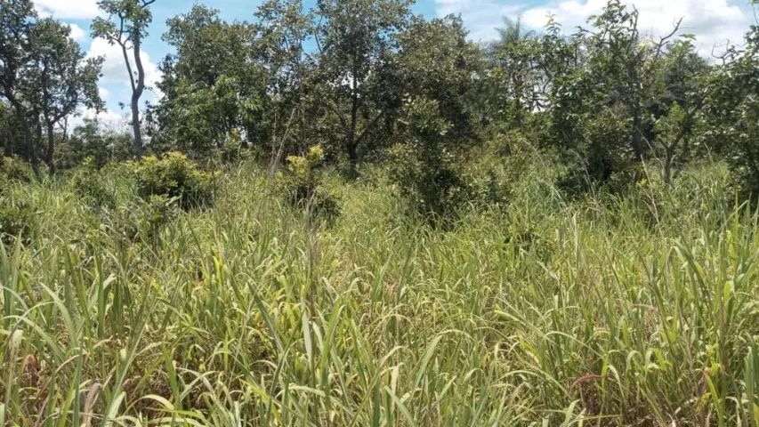 Propriedade à venda! - Foto 5