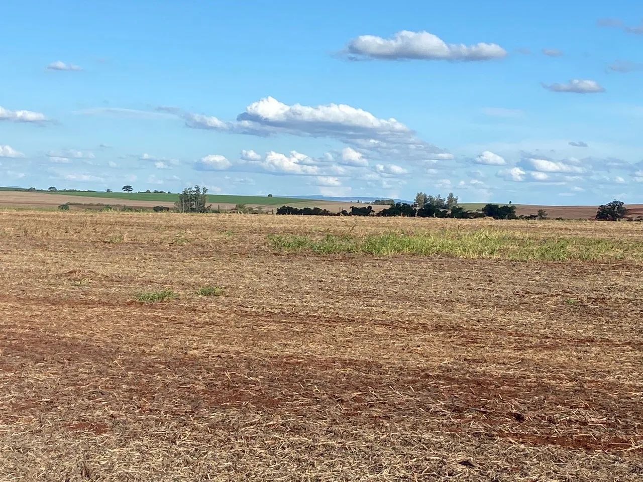 Fazenda de arrendamento 