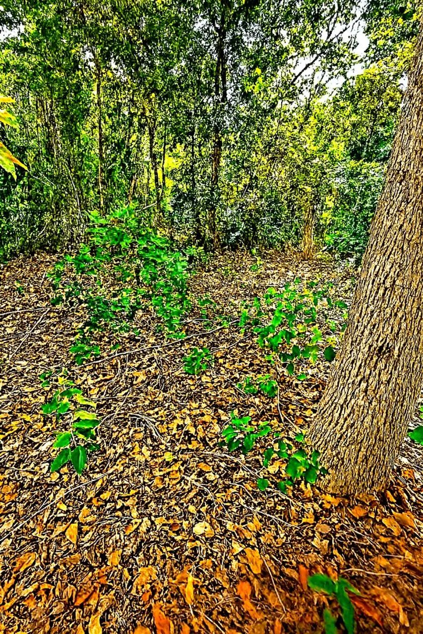 Sitios vista, entre1.500m² e 5.100m², Parcelamento a combinar, PEGO VEICULOS, TROCO 
