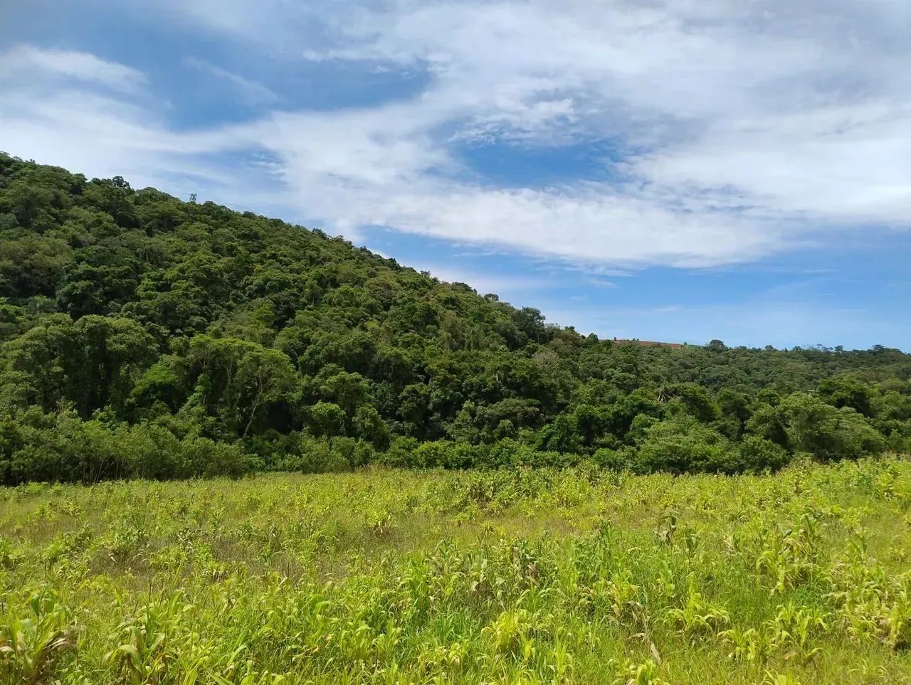 Pré-Lançamento de Terrenos em Ibiúna com Condições Especiais - Foto 4
