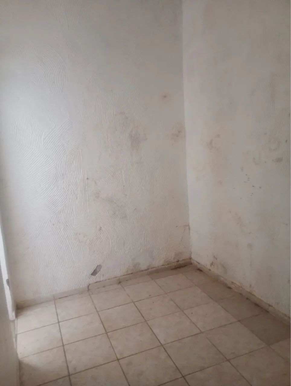 Cada para alugar na Cidade Nova  - Foto 3