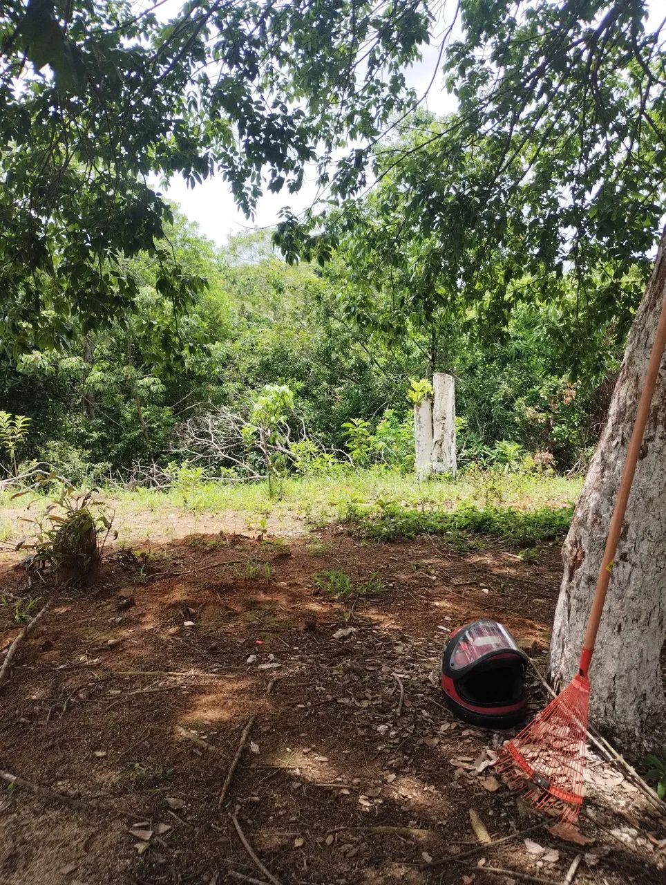 2 lotes 11x50 planos - Foto 3