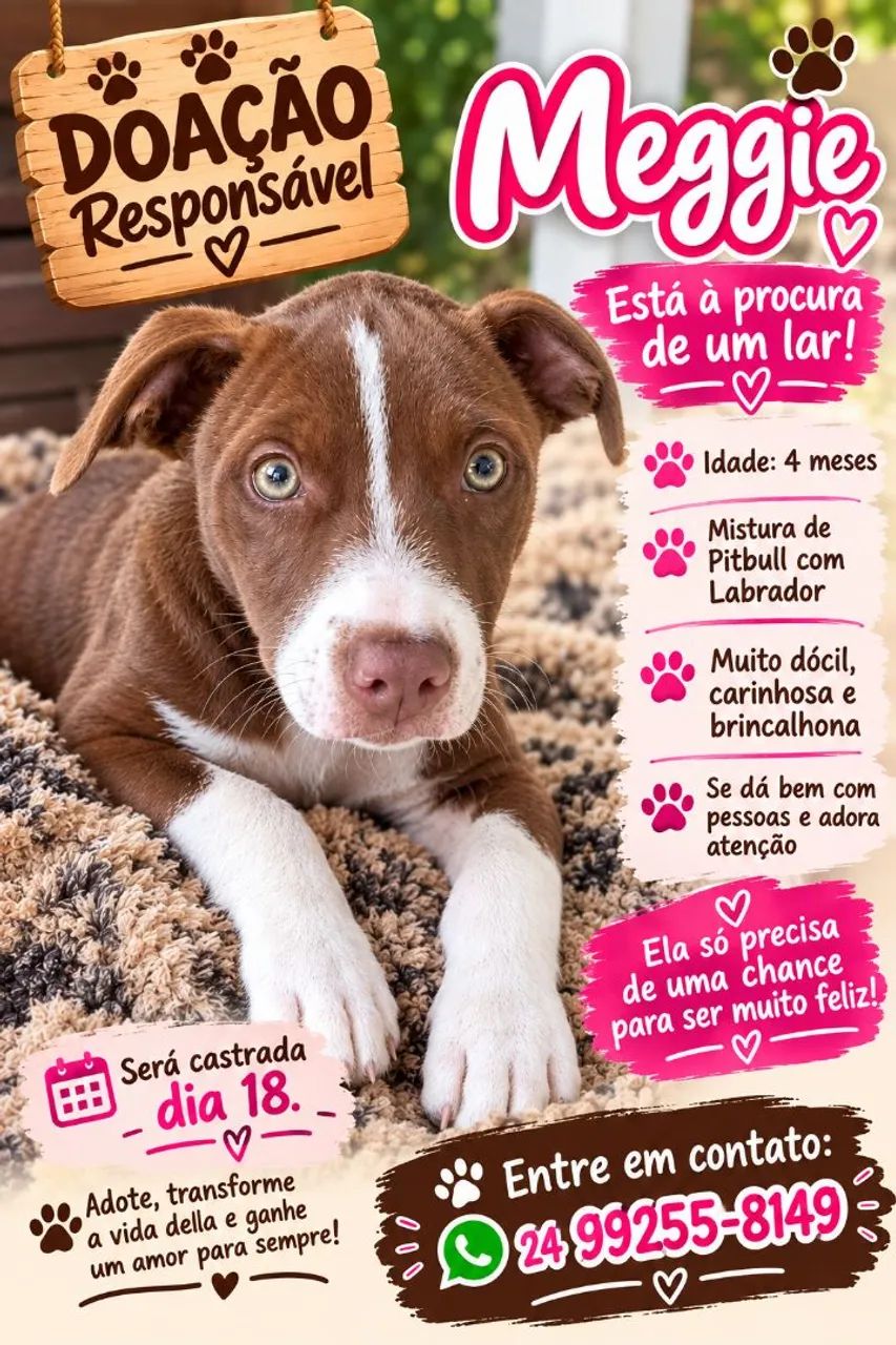 Doação responsável 