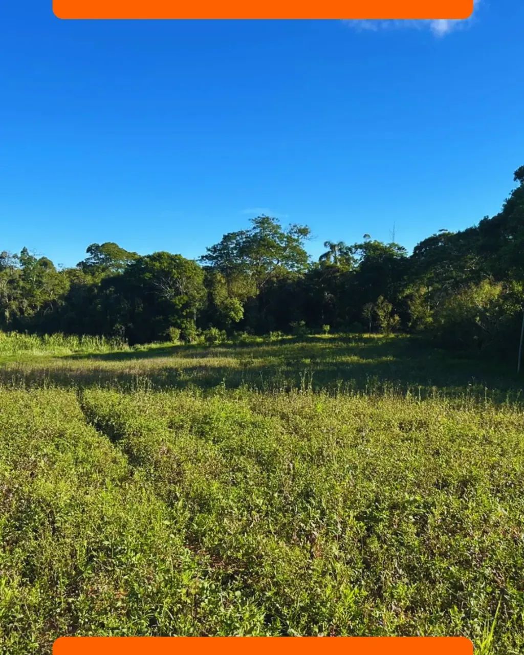 Terreno em Cotia aceitamos veículo
