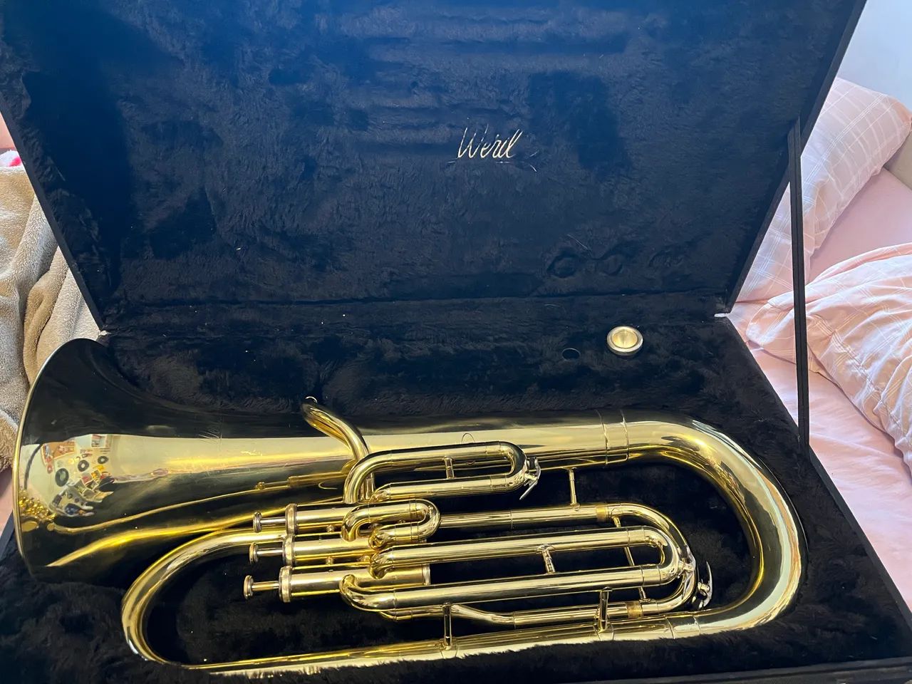 Bombardino/Eufonio Weril - Foto 5
