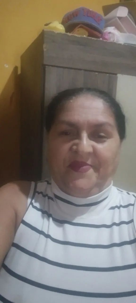 Diarista 