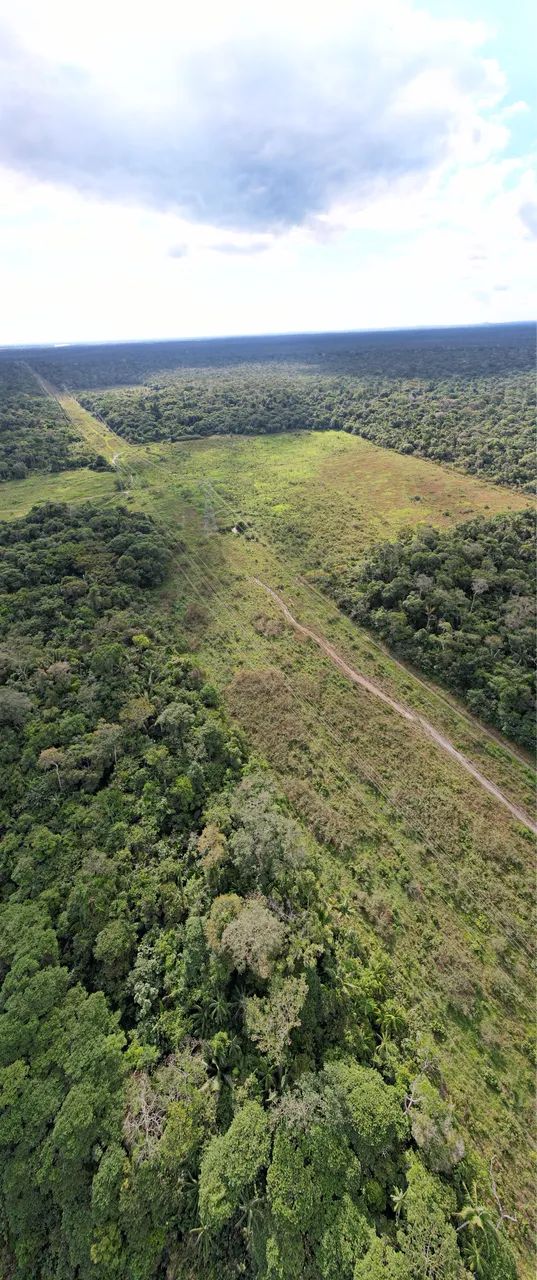 FAZENDA A VENDA 309 HECTARES  - Foto 4