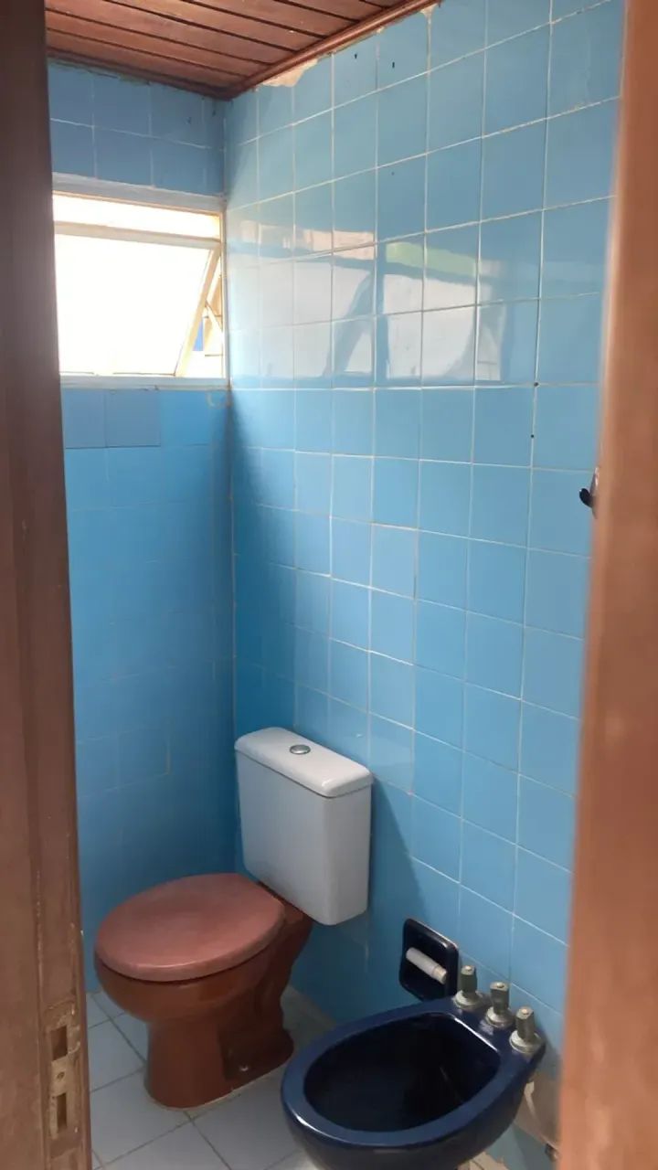 vendo jardim passarada - Foto 2