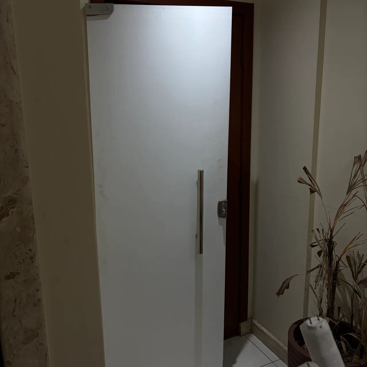 Porta blindex  - Foto 2