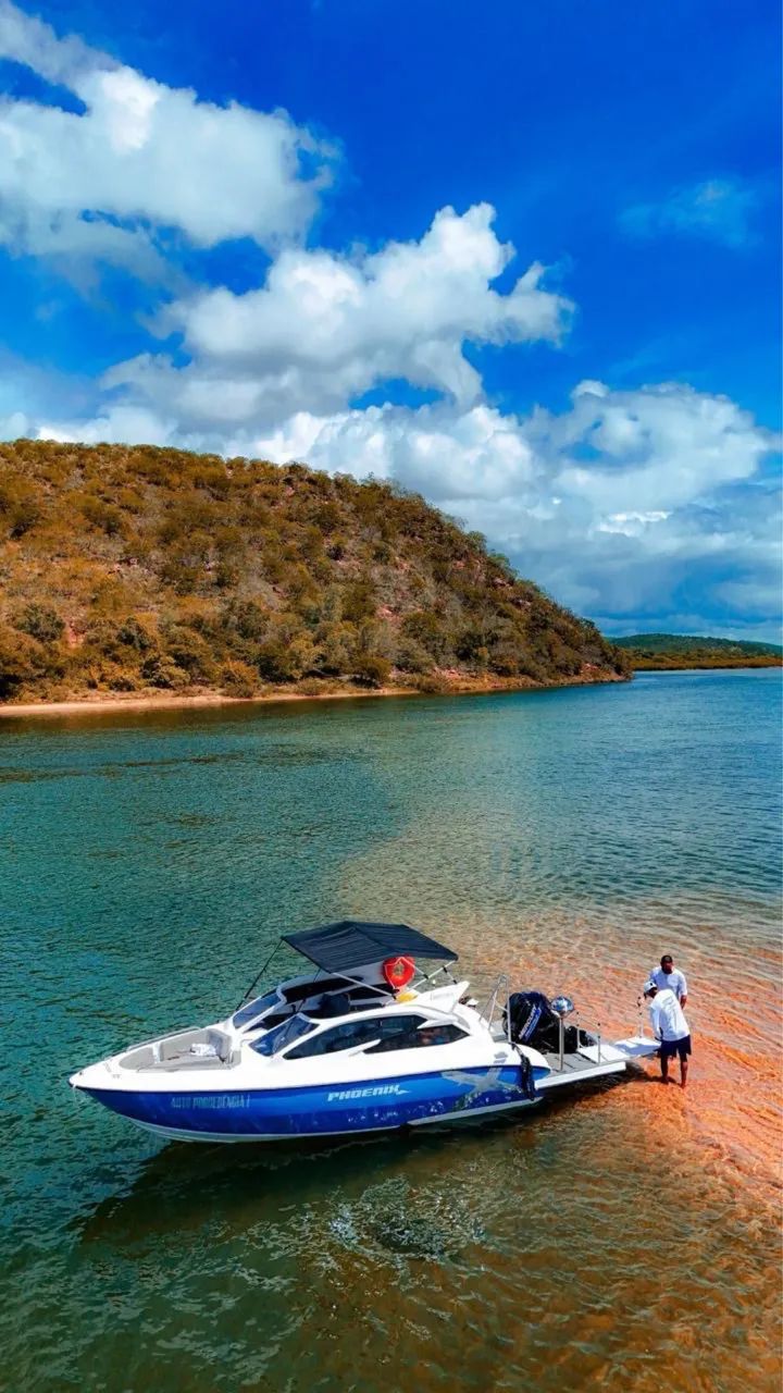 PHOENIX 240 EXPORTAÇÃO 2026 / 2027  - Foto 4