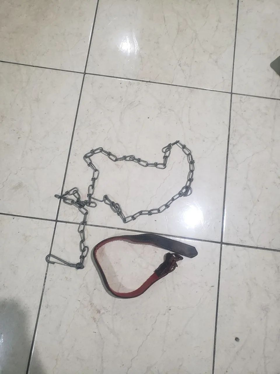 Coleira para cachorro 