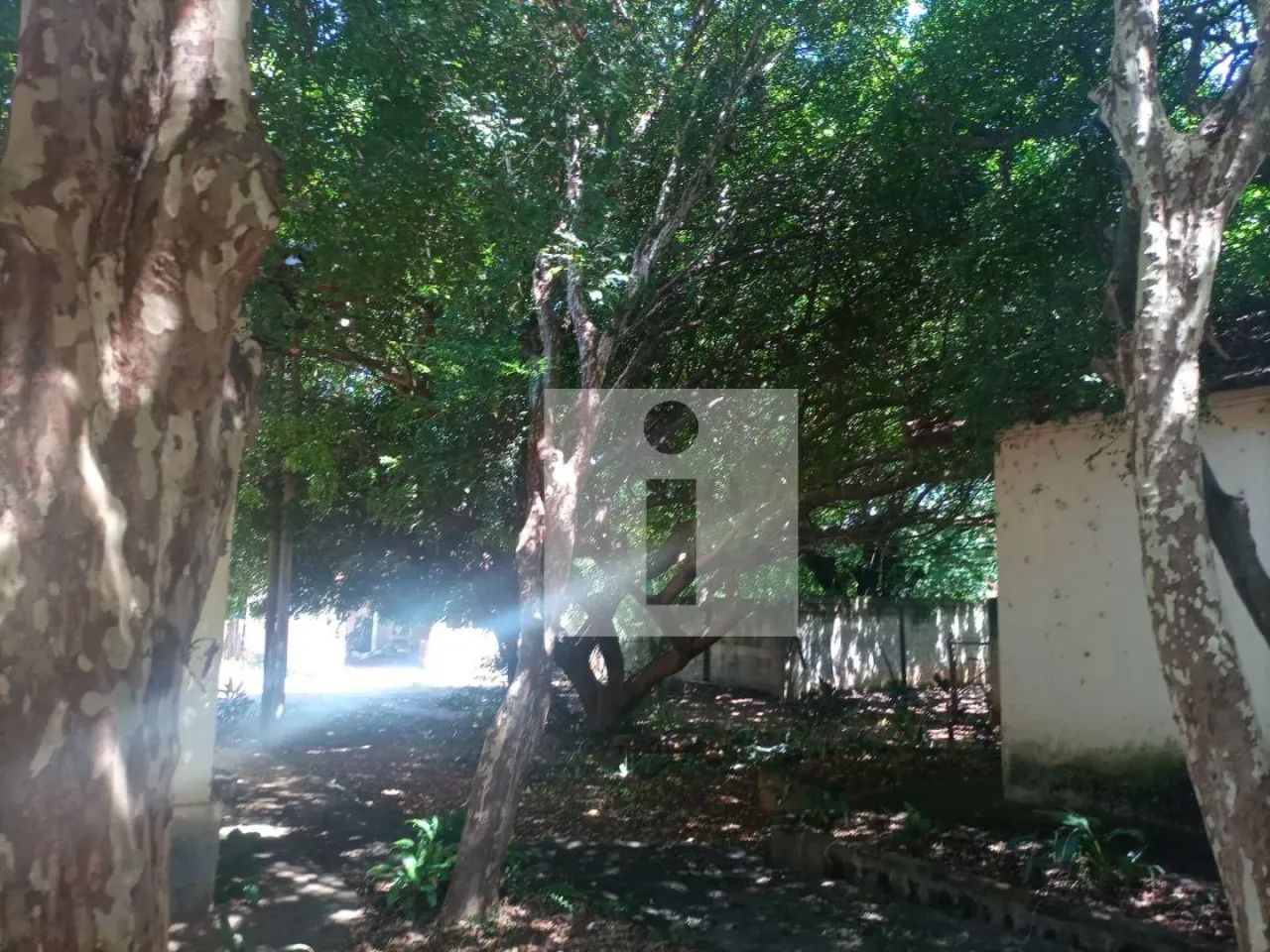 Área à venda região do Matão - Sumaré/SP - Foto 4