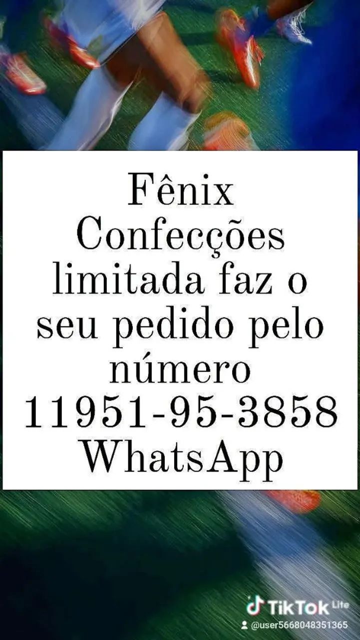 Fênix personalizada - Foto 2